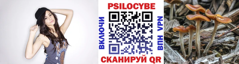 Купить закладки  Боровск  Псилоцибиновые грибы Psilocybe 